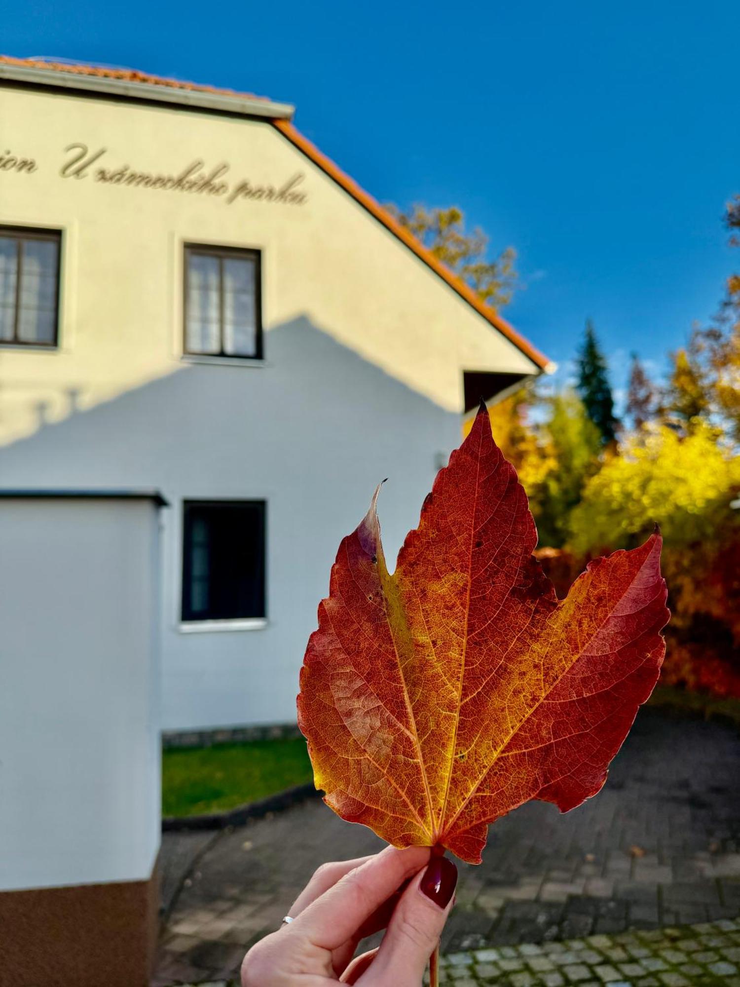 Penzion U zámeckého parku Trebon Exterior foto